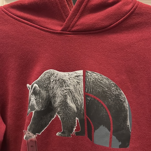 The North Face Kids Camp Fleece Pullover Hoodie - Picture 6 of 13